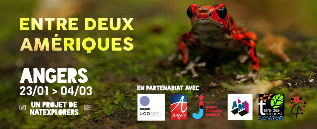 E2A x Angers - 2017 - NatExplorers - Réthoré Chapuis