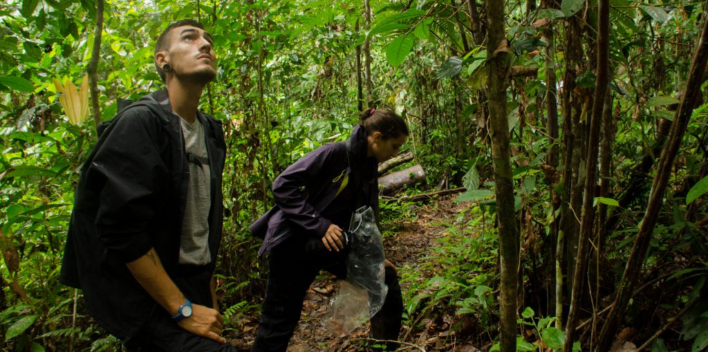 NatExplorers - Barbara Réthoré et Julien Chapuis - recherche en forêt