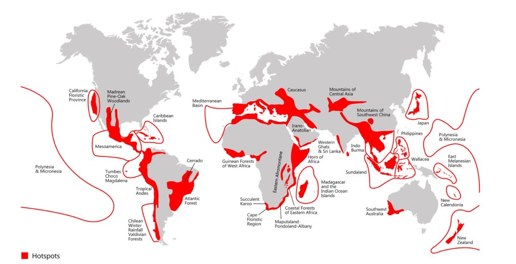 Biodiversité - Hotspots