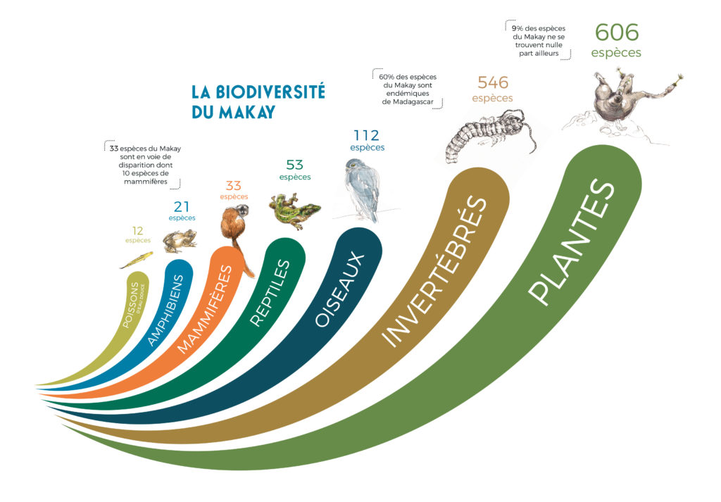 Biodiversité - expédition - Makay