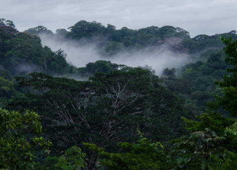 COP1 Étudiante - Natexplorers