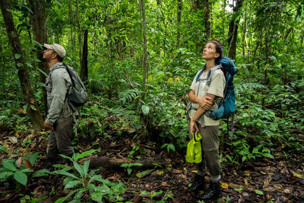 Biodiversité - Expédition Darién