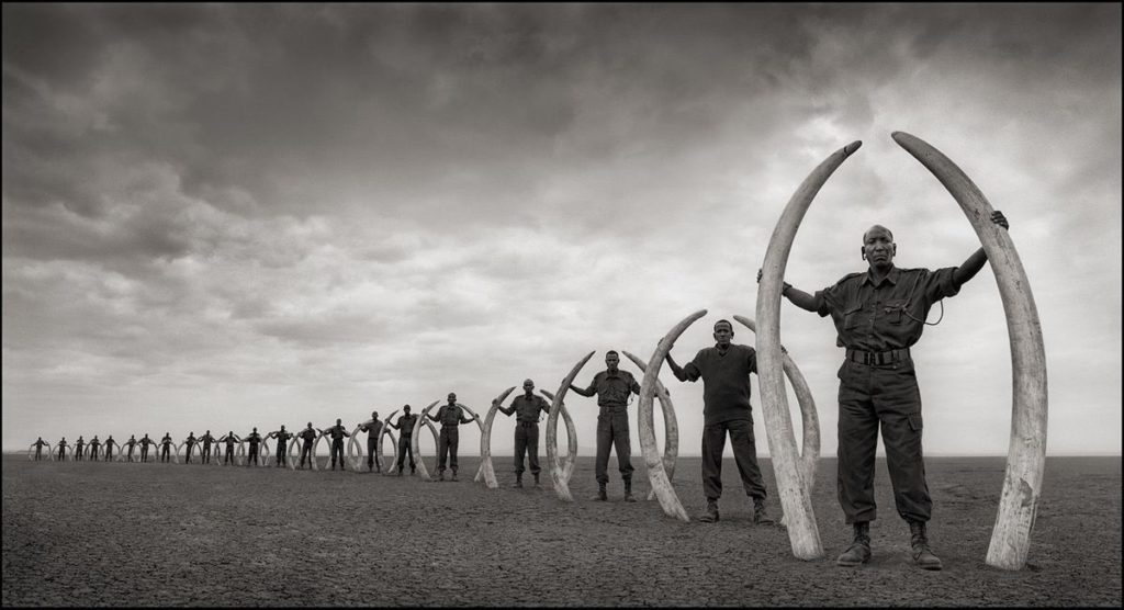 Extinction - Nick Brandt - rangers