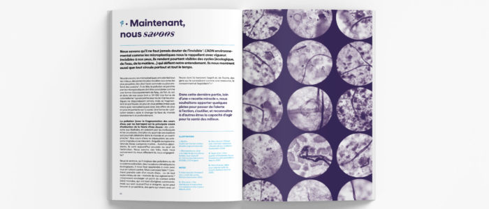 Loire Sentinelle - rapport public (p.52-53)