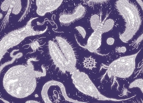 Loire Sentinelle - ADNe ©Clément Vuillier