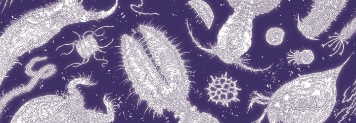 Loire Sentinelle - ADNe ©Clément Vuillier