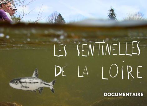 Les sentinelles de la Loire - documentaire