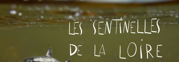 Les sentinelles de la Loire - documentaire